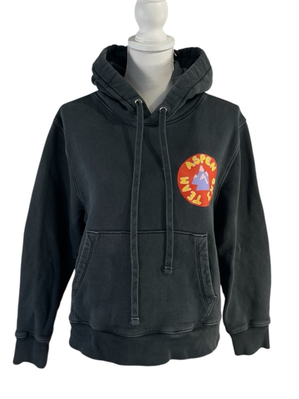 Citizens of Humanity The Haas Brothers Aspen Ski Team Hoodie in Washed Black